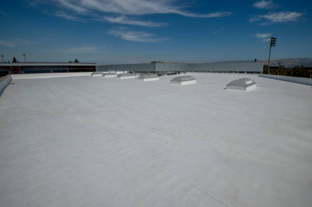 Best Roof Ventilation Installation  in Manvel, TX